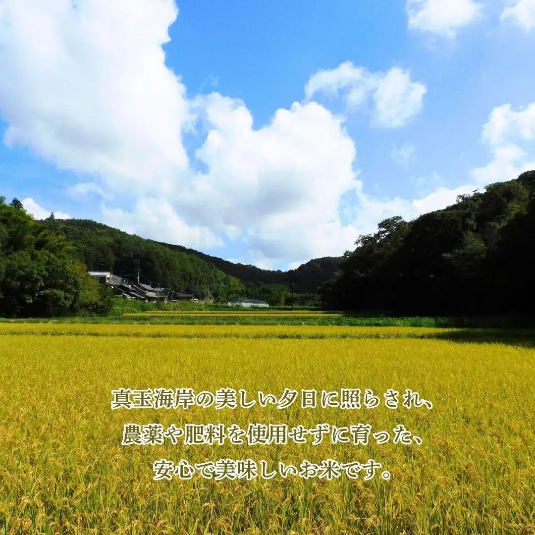 R8年産玄米 自然栽培 旭（玄米）5kg