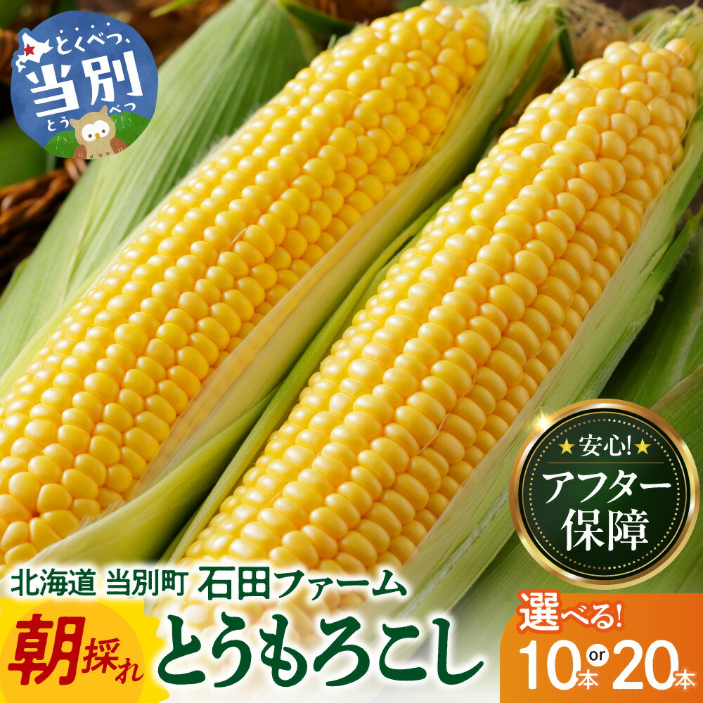 【ふるさと納税】【先行予約】石田ファーム とうもろこし詰め合わせ 10本 20本セット【2026年8月上旬～9月中旬出荷予定】【数量限定】朝採り 野菜 新鮮 夢のコーン 甘獲娘 スターダスト 恵味ゴールド 恵味スター ほしつぶコーン わくわくコーン ロイシーコーン