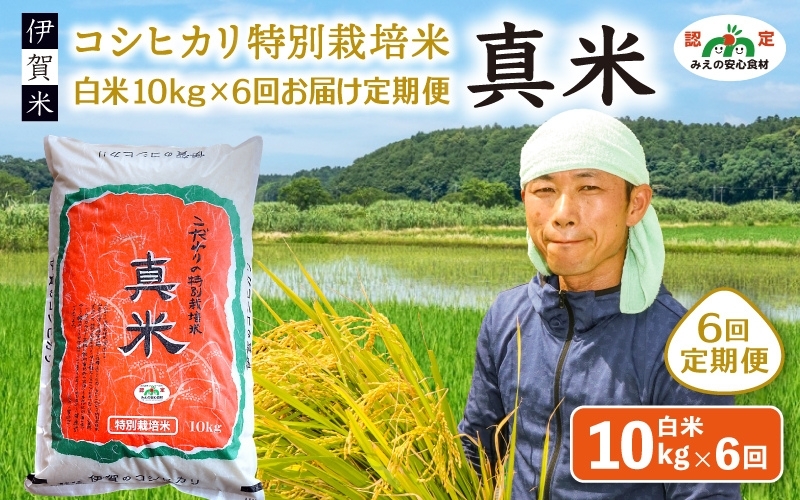 
                  伊賀米コシヒカリ特別栽培米「真米」白米10kg×6回お届け定期便【ymnk-tkb0004】
                