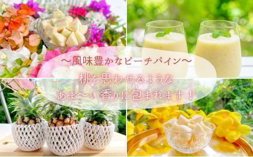 ☆新感覚の味わい☆桃のような甘～い香りのする芳醇なパイナップル　『完熟ピーチパイン』 約1kg（1～2個入） 約1kg（1～2個入）
