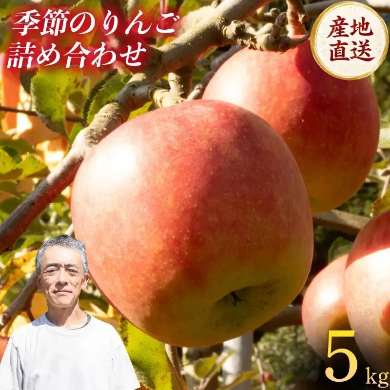 りんご 詰め合わせ 5kg 盛岡市 大櫻農園 ozakura004