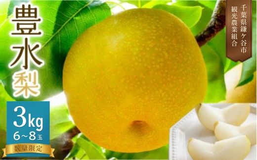 
                  【豊水約3kg】かまがや育ちの完熟梨（観光組合）6～8玉
                