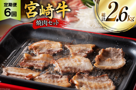 牛肉 定期便 宮崎牛焼肉セット 6ヶ月定期便 [ミヤチク 宮崎県 美郷町 31au0089] 冷凍 焼肉 小分け 個包装 牛 牛肩ロース 牛ウデ 牛モモ