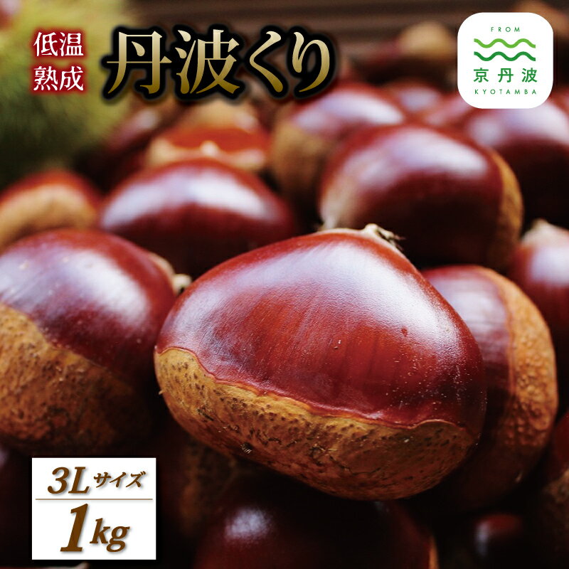 【ふるさと納税】低温熟成 丹波くり 3Lサイズ 1kg （ 500g×2袋 ） 京丹波町産 国産 京都 丹波 和栗 熟成 栗 くり 甘い 栗ごはん 秋の味覚 ※北海道・沖縄・その他離島への配送不可