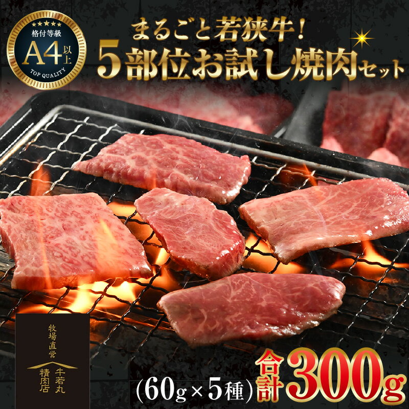 【ふるさと納税】まるごと若狭牛！5部位お試し焼肉セット 300g（60g×5種） ／ 焼肉 国産 牛肉 A4 A5 焼肉用 冷凍 若狭牛 ロース ブランド牛 焼肉セット バーベキュー
