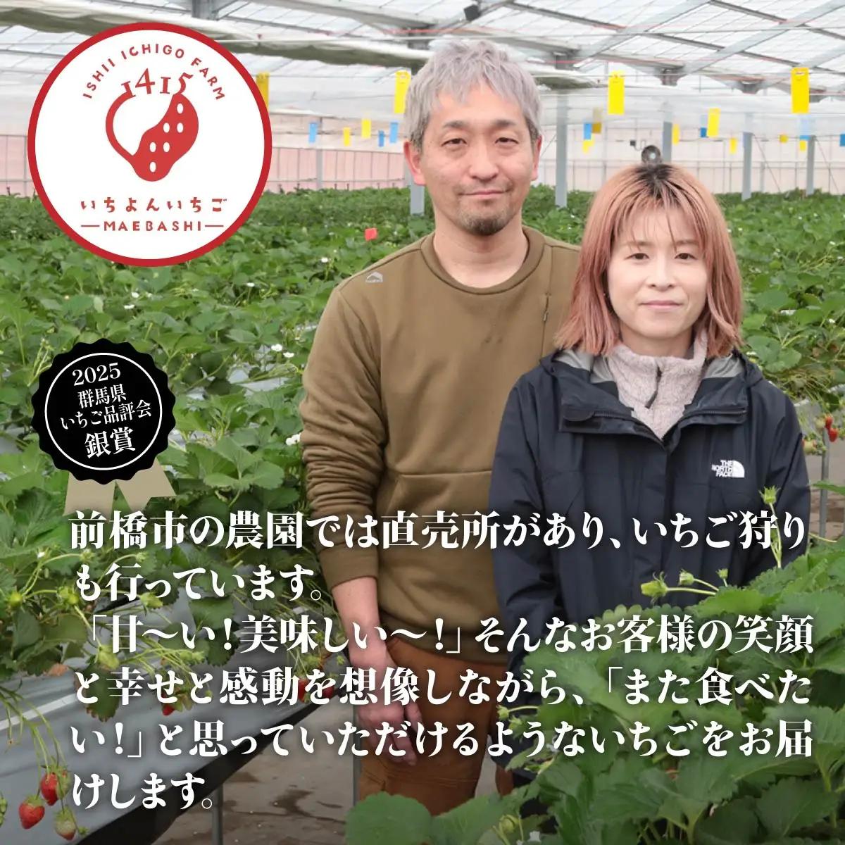 いちご やよいひめ 贈答用化粧箱 2シート 800g いちご