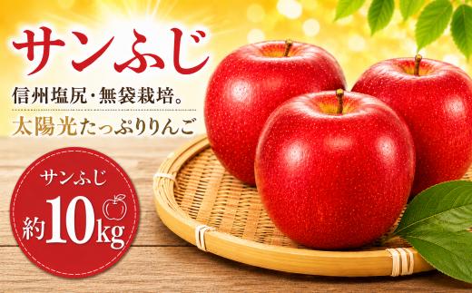 【2026年先行予約】信州塩尻産 サンふじ 約10kg ｜ 先行受付 果物 くだもの フルーツ サンふじ りんご 赤 林檎 信州 長野県 塩尻市