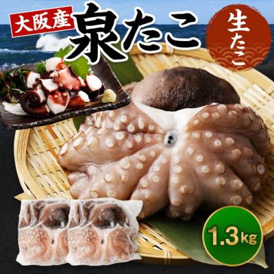 ふるさと納税 阪南市 【2025年6月21日より順次発送】大阪産「泉タコ(生たこ)」1.3kg(1杯〜3杯×2袋)