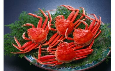 金沢 大和百貨店 選定 香箱ガニ  石川 金沢 加賀百万石 加賀 百万石 北陸 北陸復興 北陸支援