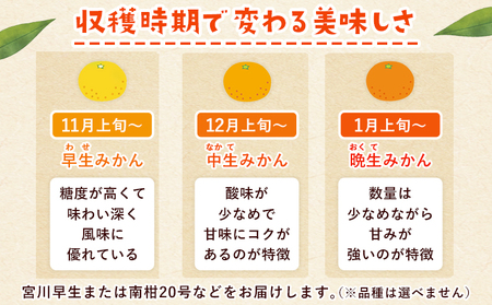 ＜西予市産 温州みかん 秀品 約5kg＞ 蜜柑 ミカン みかん 果物 フルーツ 柑橘 国産 愛媛県産 サイズおまかせ 5キロ うんしゅうみかん ウンシュウミカン 特産品 丸二青果 愛媛県 西予市【常温