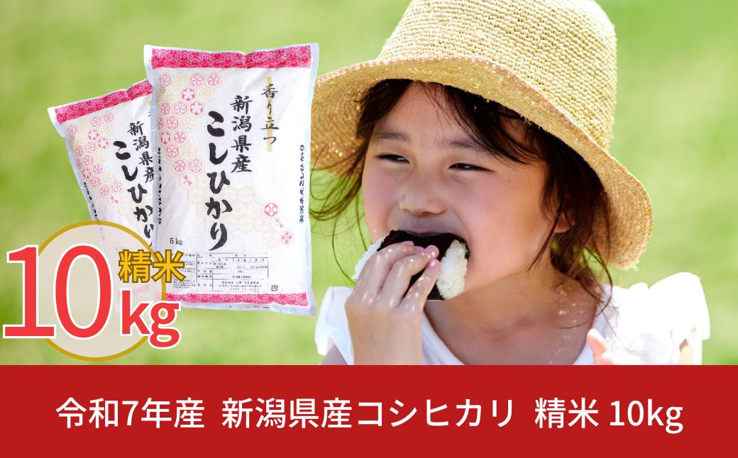 
            新潟県産 コシヒカリ 10kg こしひかり 令和7年産 米 [株式会社白熊]【013S008】
          