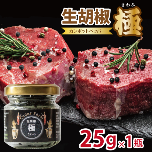 生胡椒 極(きわみ) 25g×1本【能登の塩 コショウ こしょう カンポットペッパー スパイス カンボジア】 005A747