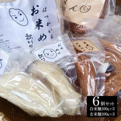 ふるさと納税 廿日市市 【前川農園】お米めんのセット(6個セット)