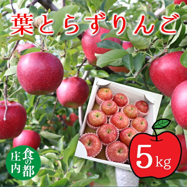 【ふるさと納税】食の都庄内　葉とらず赤りんご　約5kg※11月頃から順次発送（有限会社庄内旬青果）