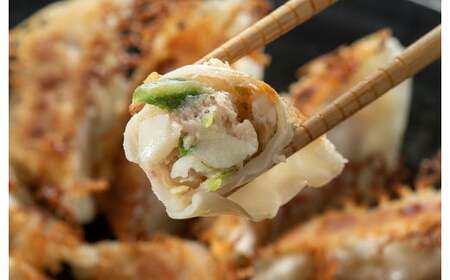 餃子の王国　黒豚でか生餃子どでかドン1.8kg(36個)	