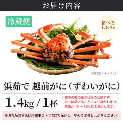ふるさと納税 越前町 ≪浜茹で≫ 越前がに 準極 × 1杯【2月発送分】 |  | 03