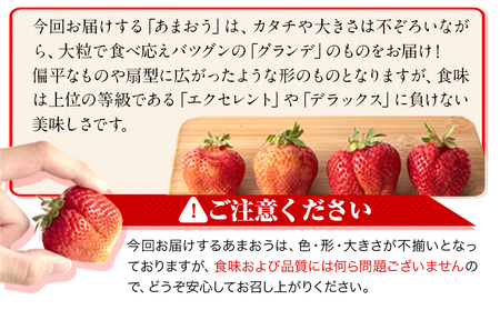 【ふるなびWEEK対象】福岡の名産いちご あまおう 1080g