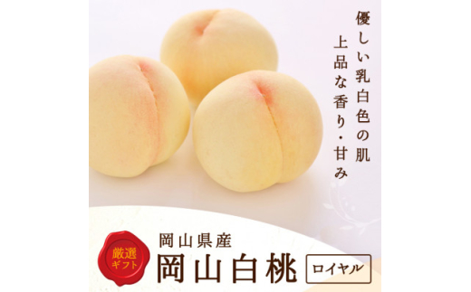 ＜2027年発送＞岡山県産　白桃 8玉(2kg以上) 等級:ロイヤル 化粧箱入り【1546676】
