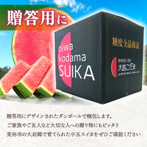 甘くて 果肉 たっぷり！ 大岩 こだま スイカ 1玉 「 神秘の里 大岩郷 よりお届け 長州の紅い宝石 」 先行予約 ＜ 2026年 7月下旬 ～ 8月頃 発送予定 ＞