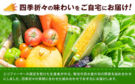旬の野菜 定期便 計6回 旬の野菜 10品【養生市場】定期便 品種おまかせ ランダム 6ヶ月お届け 計6回 詰め合わせ セット 野菜 九州産 熊本県産《お申し込みの翌月から出荷》