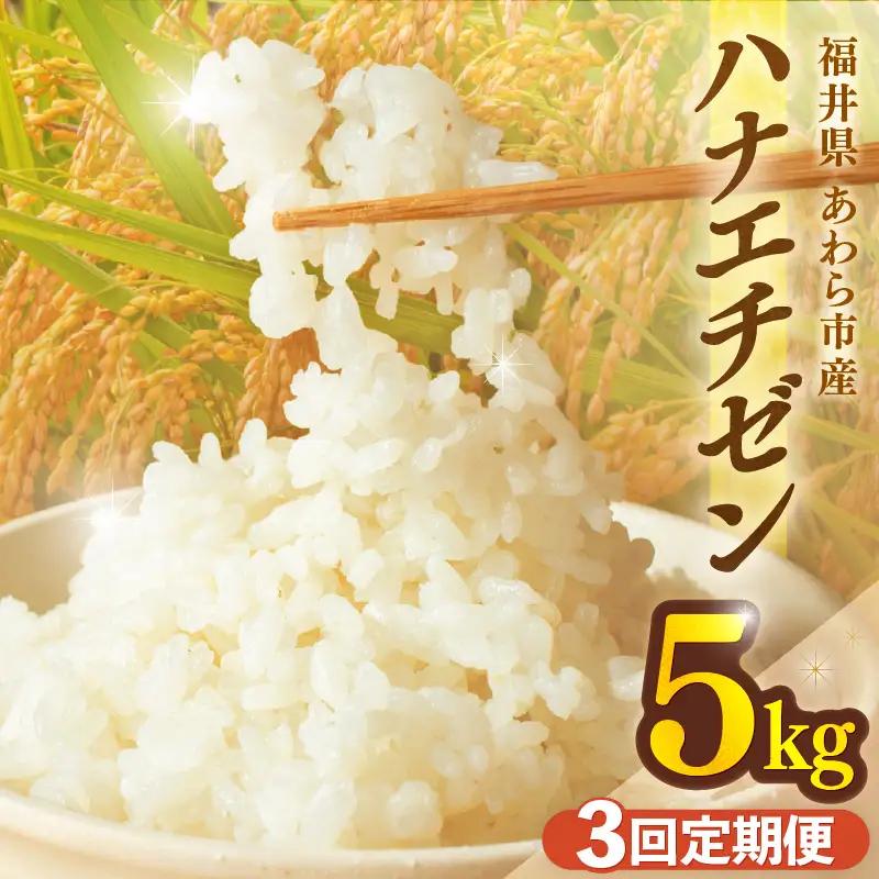 【先行予約】【令和8年産】定期便 ≪3ヶ月連続お届け≫ ハナエチゼン 精米 5kg（計15kg）（長谷川農園） お米 ※2026年10月より順次発送予定 [aw139-b002]
