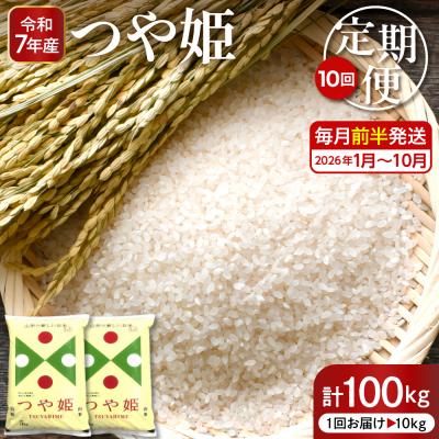 ふるさと納税 東根市 【2026年1月スタート】特別栽培米つや姫10kg×10回(毎月前半発送)定期便 hi053-034