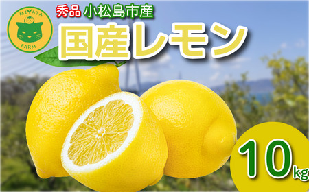 レモン 10kg 秀品 2025年10月順次発送 国産 檸檬 れもん ワックス不使用 防腐剤不使用 