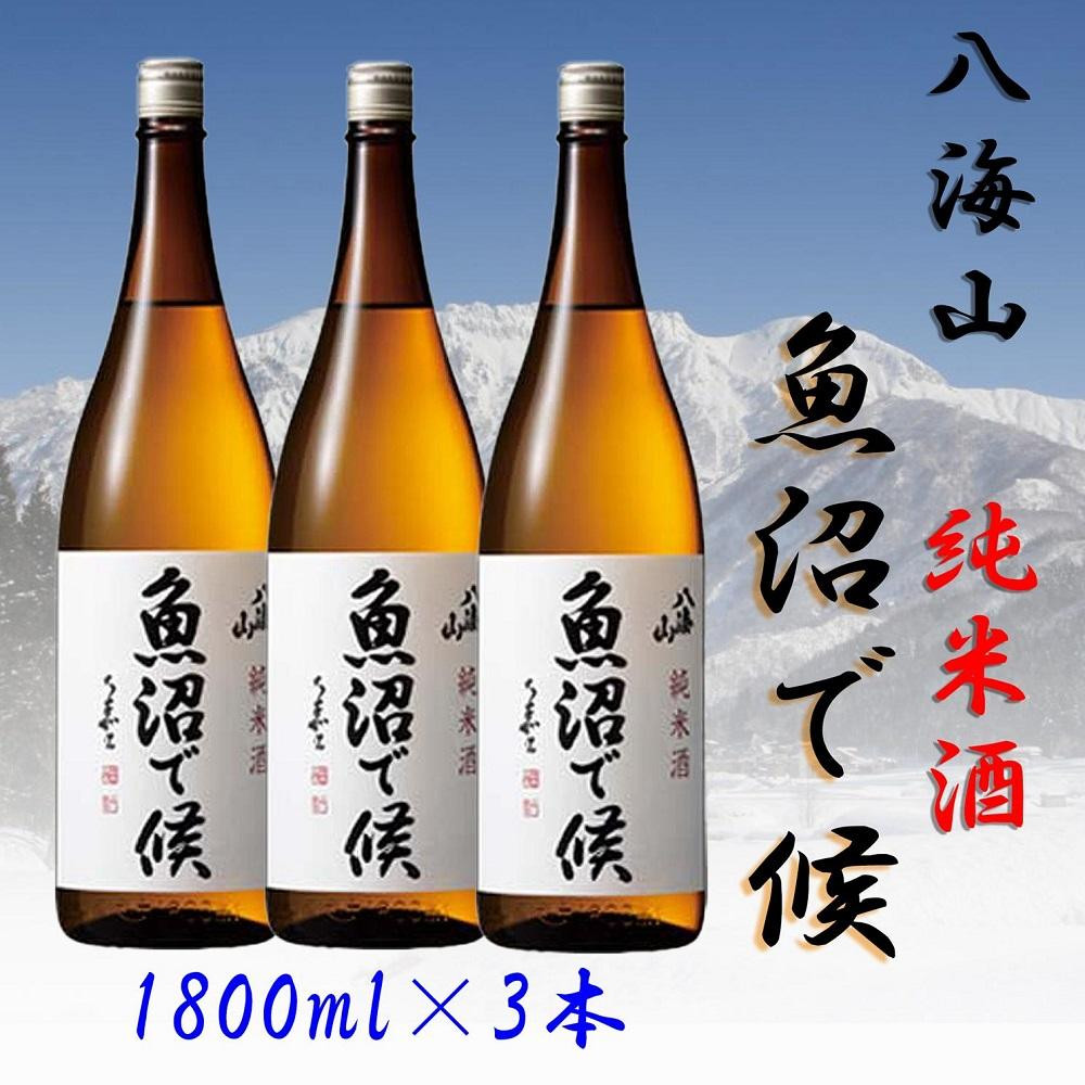 
【魚沼地域限定】純米酒 八海山「魚沼で候」1800ml×3(化粧箱付き)
