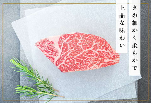 《佐賀牛》「梁井」希少部位 ヒレステーキ 2枚 400g【佐賀牛 ヒレステーキ フィレステーキ ヒレ肉 フィレ やわらか 上質 サシ 美味しい パーティー イベント ブランド肉】 F7-A081013