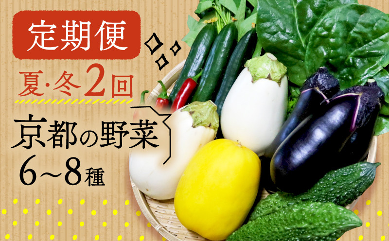 
            【定期便】2回 夏冬の野菜6～8種 セット 夏 冬 お届け 京野菜 京都 なす 野菜 夏野菜 冬野菜 おまかせ 有機 栽培 年2回 10000 円
          