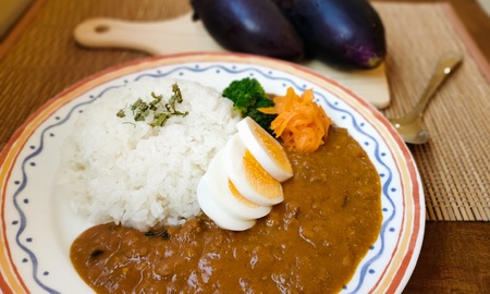 素材にこだわった！ なす キーマ カレー（ 黒潮町産 天日塩 使用） 5食 セット〔冷凍〕 スパイス ［1611-2］