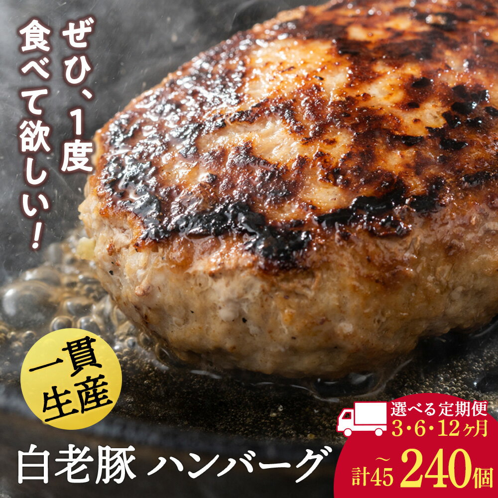 【ふるさと納税】【選べる定期便】 北海道産 白老豚 ハンバーグ 選べる15個～20個セット 1個120g 冷凍 洋食 おかず BV034ハンバーグ 加工肉 豚肉 白老豚 白老 北海道 北海道ふるさと納税 白老 ふるさと納税 北海道