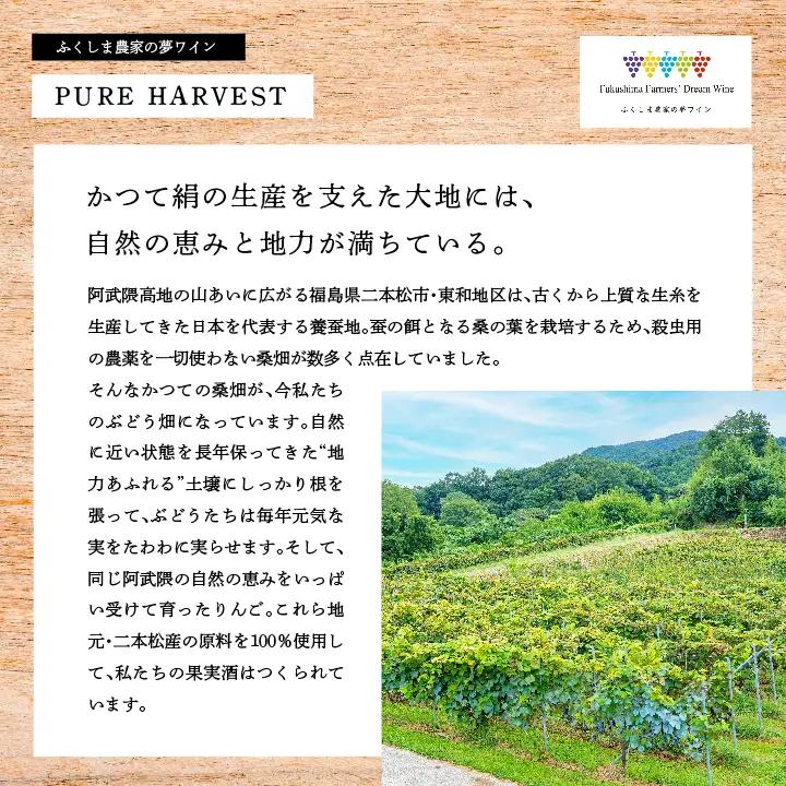 ワイン セイベル 720ml×1本【ふくしま農家の夢ワイン株式会社】
