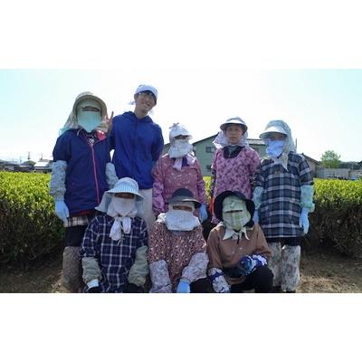 ふるさと納税 村上市 村上銘茶詰め合せC  C4030 |  | 02