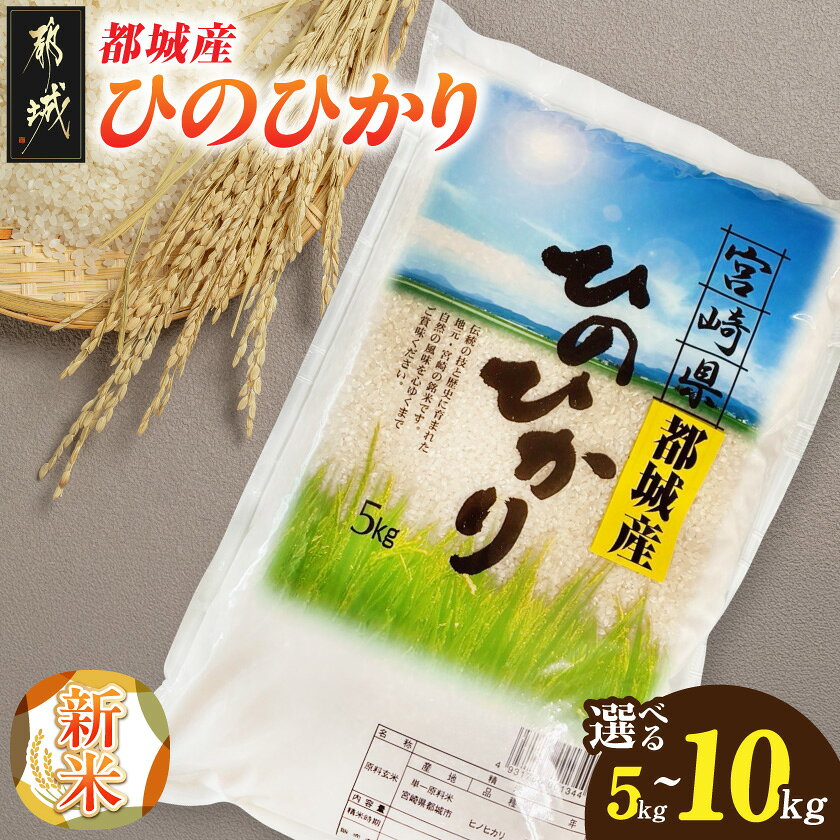 【ふるさと納税】【内容量が選べる】都城産ひのひかり - 令和8年産 都城産 お米 ひのひかり 5kg / 10kg 単一原料米 精米 お弁当 おにぎり 炒飯 丼 送料無料 SKU-N502【宮崎県都城市】