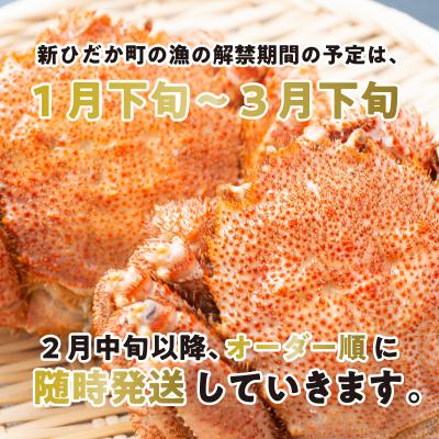 ふるさと納税 新ひだか町 <2026年2月中旬から順次発送> 北海道産浜ゆで毛ガニ 2尾 計600g以上 <先行受付> |  | 01