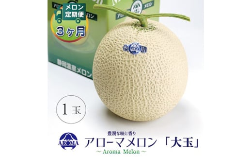 ＜毎月定期便＞アローマメロン白等級(大玉) 1玉 全3回【4013013】