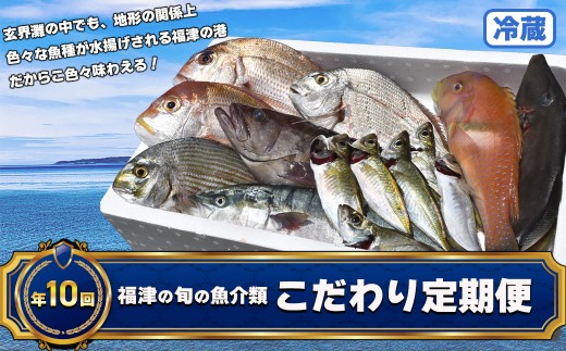 
                  【年10回】福津の旬の魚介類こだわり定期便【随時開始】[H7017]
                