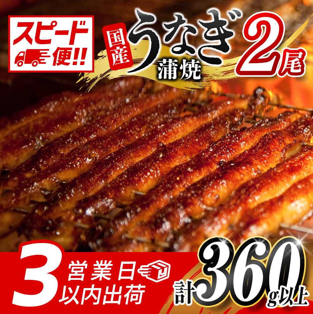 ＜3営業日以内に出荷＞うなぎ 鰻楽 国産 蒲焼 2尾 無頭 計360g以上 冷凍 簡単調理 個包装 鰻 魚介 贈答品 ギフト スピード便【B555-3D】