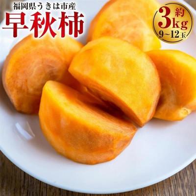 ふるさと納税 うきは市 【先行予約】西見柿農園 早秋柿 9玉から12玉(約3kg)【2026年10月上旬より順次発送予定】