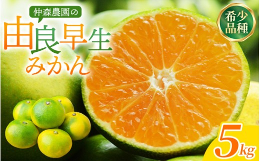 仲森農園の由良早生みかん 約5kg みかん ミカン 蜜柑 温州みかん 温州ミカン 柑橘 フルーツ 果物 くだもの 早生 甘い 旬 希少 数量限定 期間限定 産地直送 三重県 熊野市【2026年11月上旬頃～11月中旬頃に順次発送】【nkmr0020】