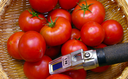 トマト本来の旨味を堪能！ トマトジュース500ml×2本セット / 糖度9度以上のフルーツトマト トマト好きにたまらない とまとジュース トマト缶の代わりにも【株式会社　堀】 [ATDA001]