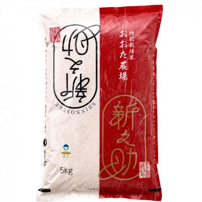 ふるさと納税 上越市 【令和7年産 2025年10月より順次発送】新潟県上越産　特別栽培米新之助【白米】　5kg×1袋