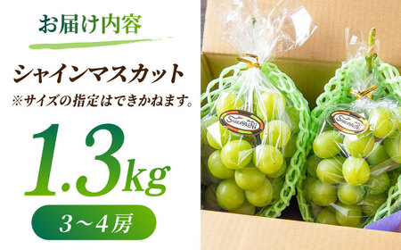 【先行予約】【訳あり】 シャインマスカット 約1.3kg(3?4房)【合同会社 社方園】[ZBZ029]