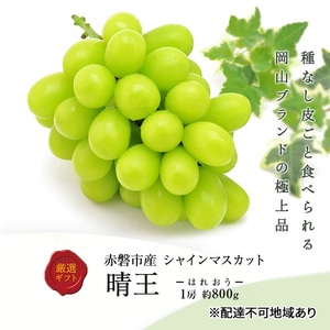 シャインマスカット 晴王 化粧箱 岡山県産 シャインマスカット【約800g 1房】【先行予約】