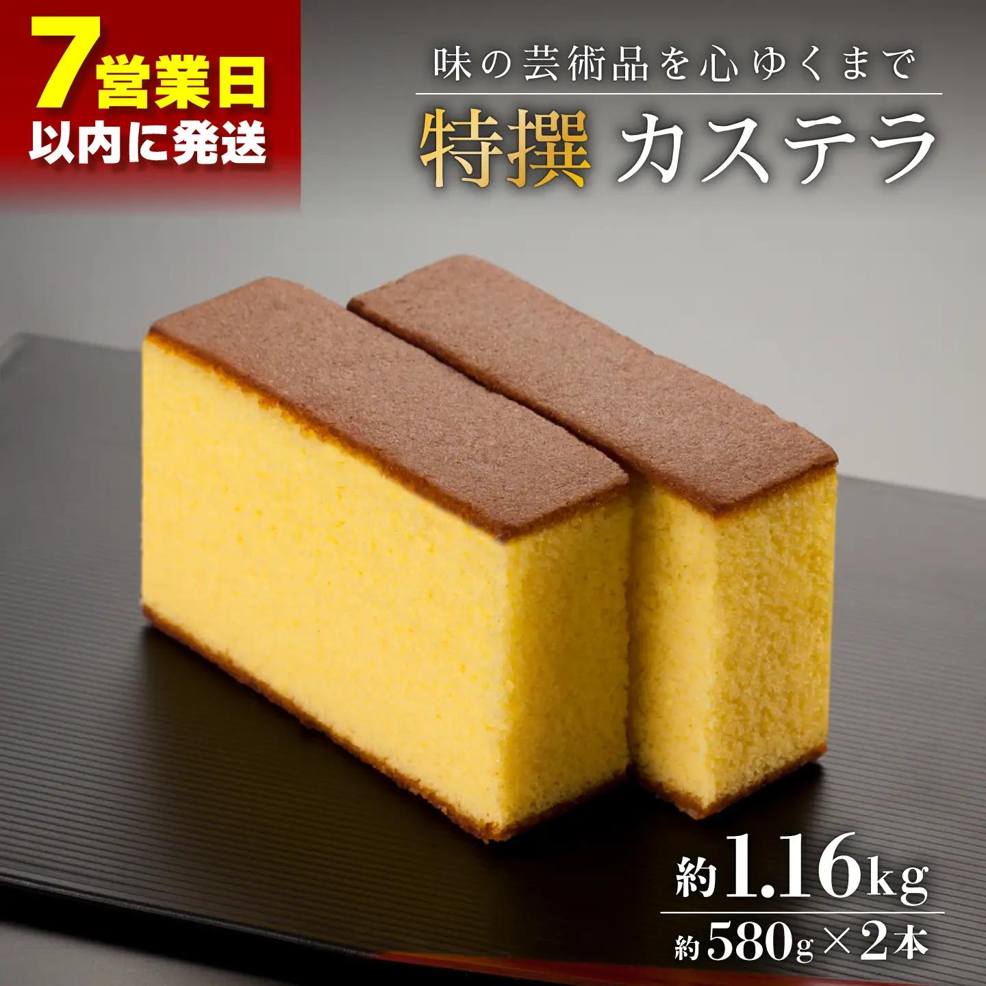 【最速】特撰カステラ 2号(約580g×2本入)[QAU002]