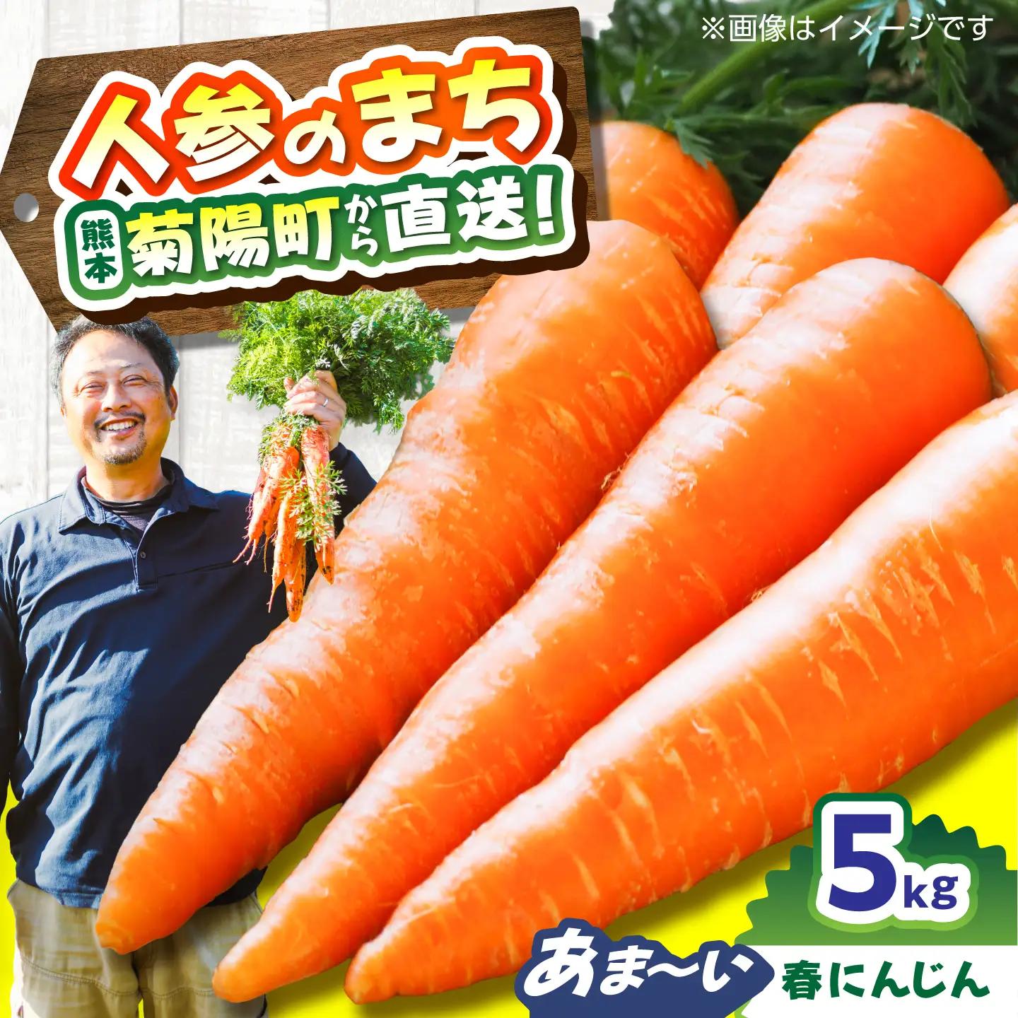菊陽春にんじん 5kg にんじん BHDH002