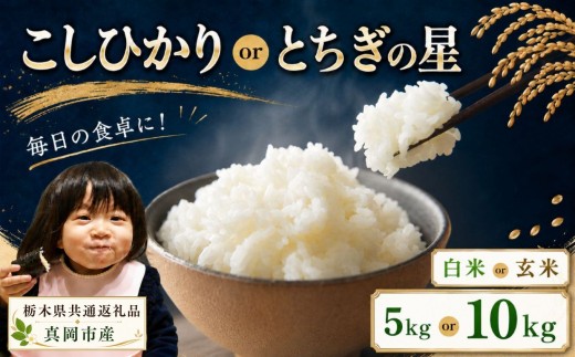 
                  お米 令和8年産 こしひかり or とちぎの星 白米 or 玄米 5～10kg【2026年 先行予約】 | 栃木県共通返礼品 真岡市産
                