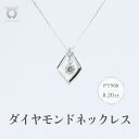 【ふるさと納税】PT900　ダイヤモンド　ネックレス　0.20ct　17369A　Pt　DIA　PN レディース ファッション ギフト プレゼント 誕生日 記念日 お祝い おしゃれ 大人 ジュエリーケース付 アクセサリー ジュエリー