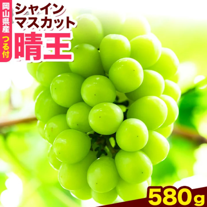 岡山県産シャインマスカット（晴王）（1房580g以上　2房入り）（令和8年産先行受付）《 2026年9月上旬‐10月下旬頃出荷》葡萄 ぶどう ブドウ マスカット シャインマスカット 種無し フルーツ 獲れたて【配送不可地域あり】---H-29b---